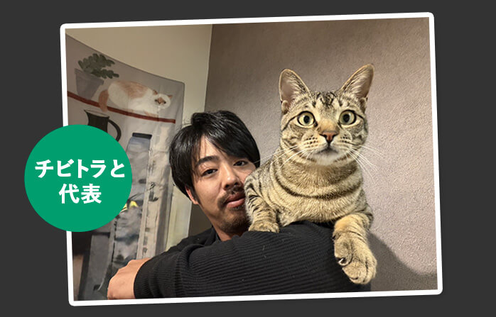 保護猫チビトラ