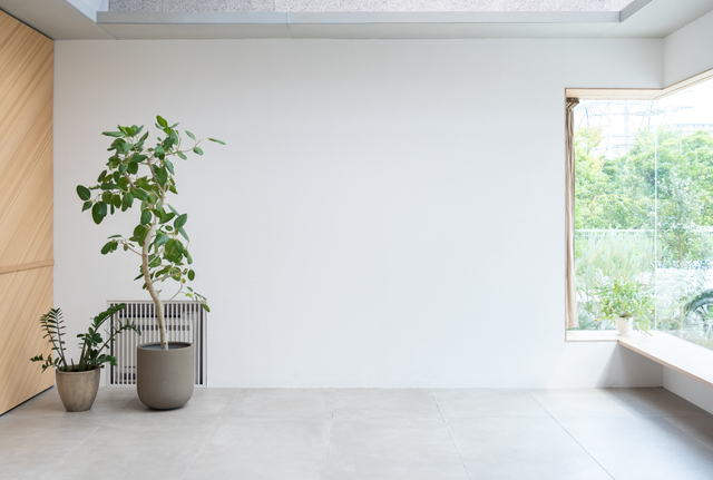 マットレスを処分して広くなった部屋