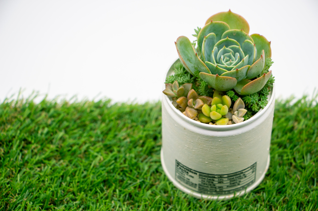 素材ごとに分解・分別する人工観葉植物の処分シーン