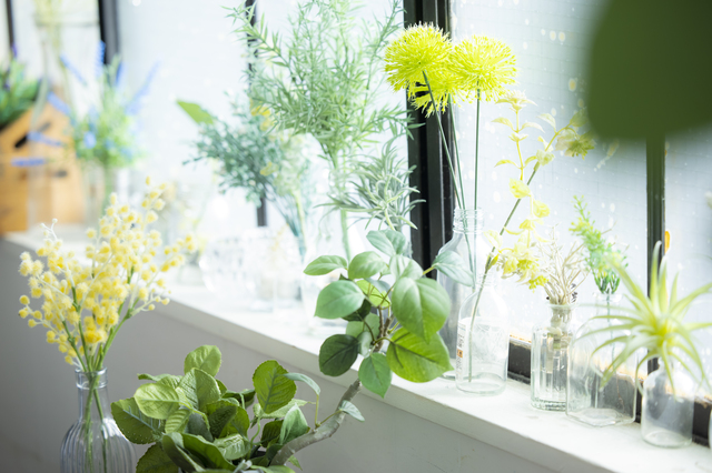 査定を待つ人工観葉植物(フェイクグリーン)